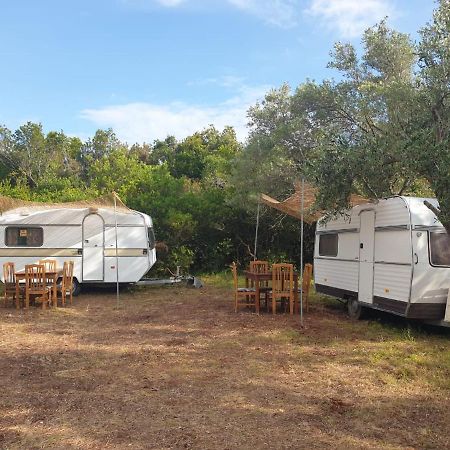 Aquariumi Jale Camping Ξενοδοχείο Εξωτερικό φωτογραφία