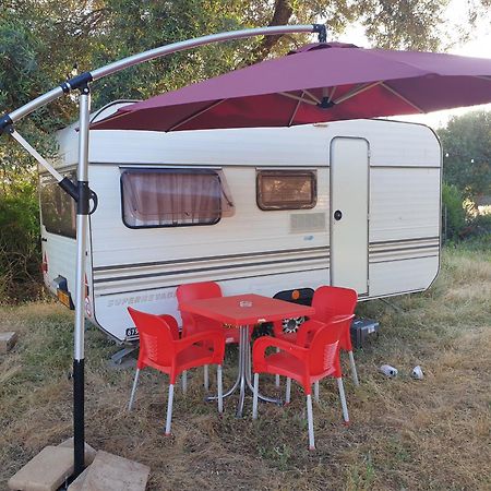 Aquariumi Jale Camping Ξενοδοχείο Εξωτερικό φωτογραφία