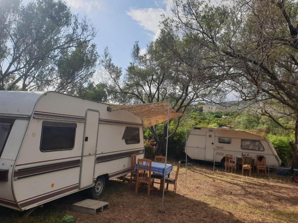 Aquariumi Jale Camping Ξενοδοχείο Εξωτερικό φωτογραφία