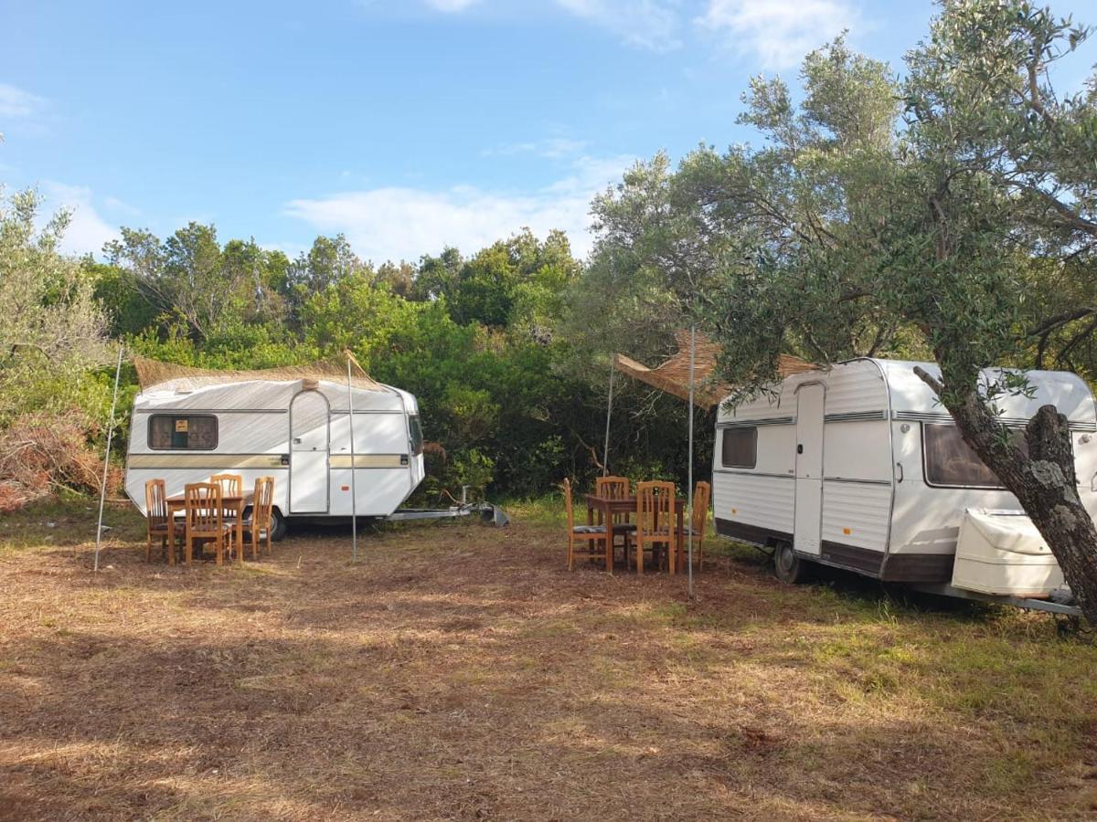 Aquariumi Jale Camping Ξενοδοχείο Εξωτερικό φωτογραφία