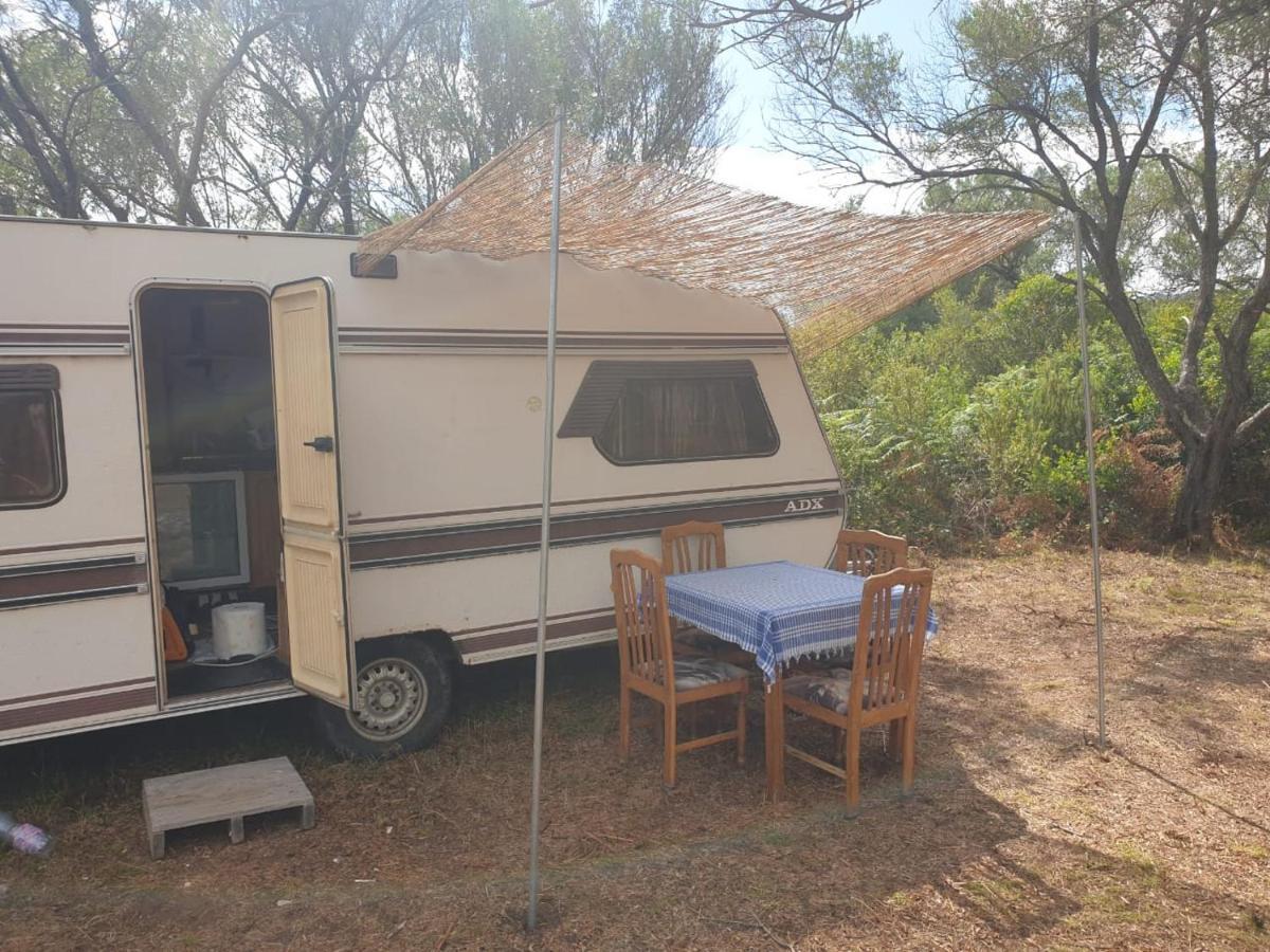 Aquariumi Jale Camping Ξενοδοχείο Εξωτερικό φωτογραφία