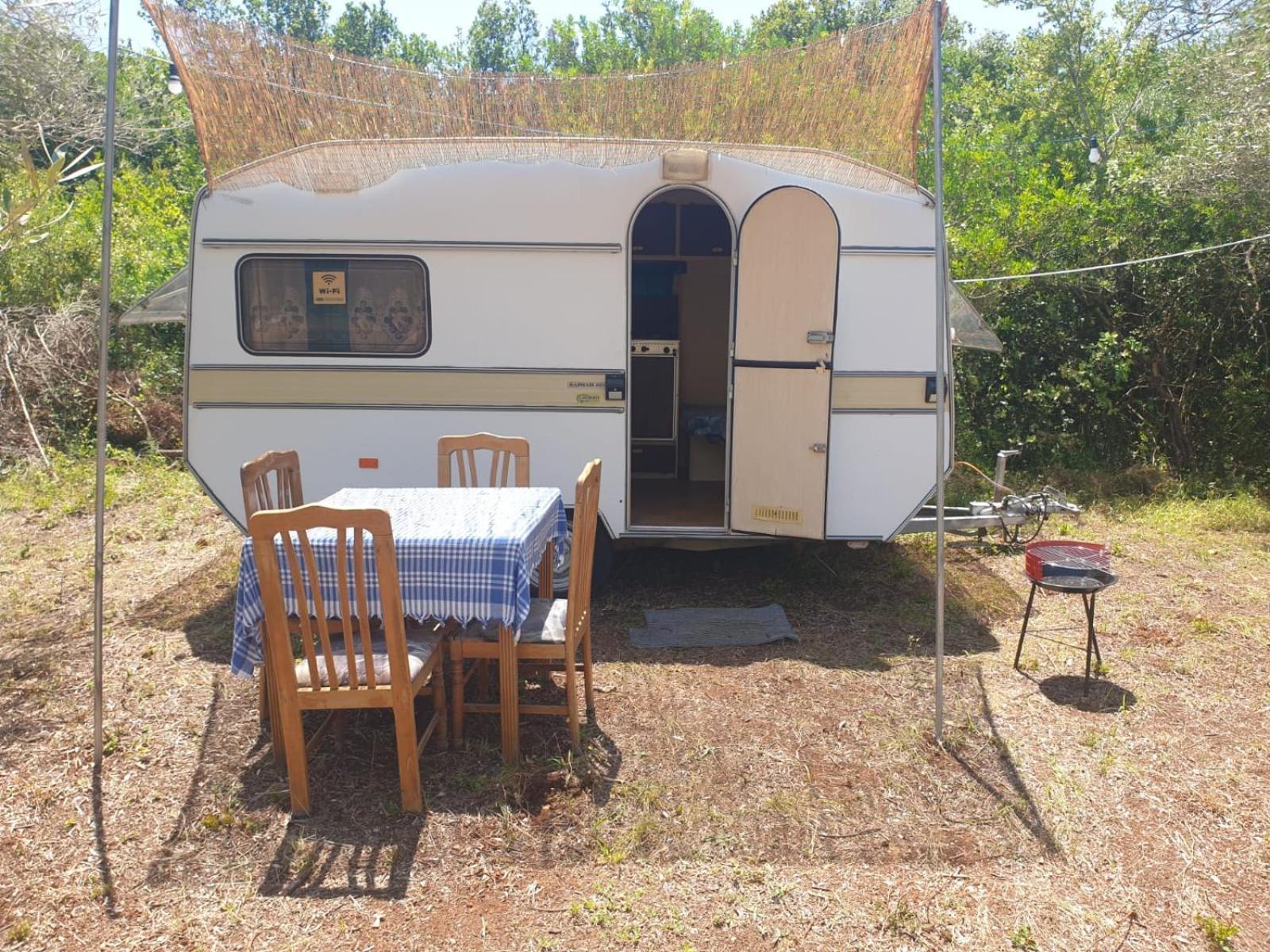 Aquariumi Jale Camping Ξενοδοχείο Εξωτερικό φωτογραφία