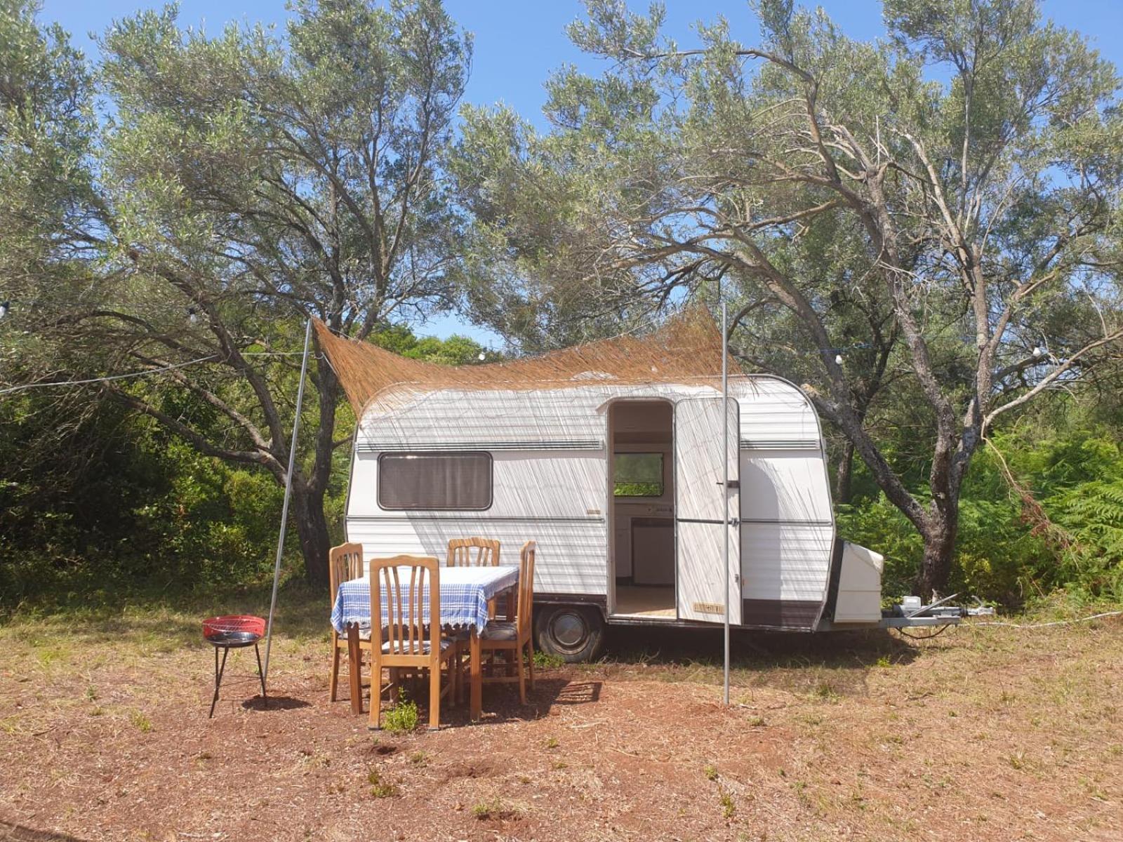 Aquariumi Jale Camping Ξενοδοχείο Εξωτερικό φωτογραφία