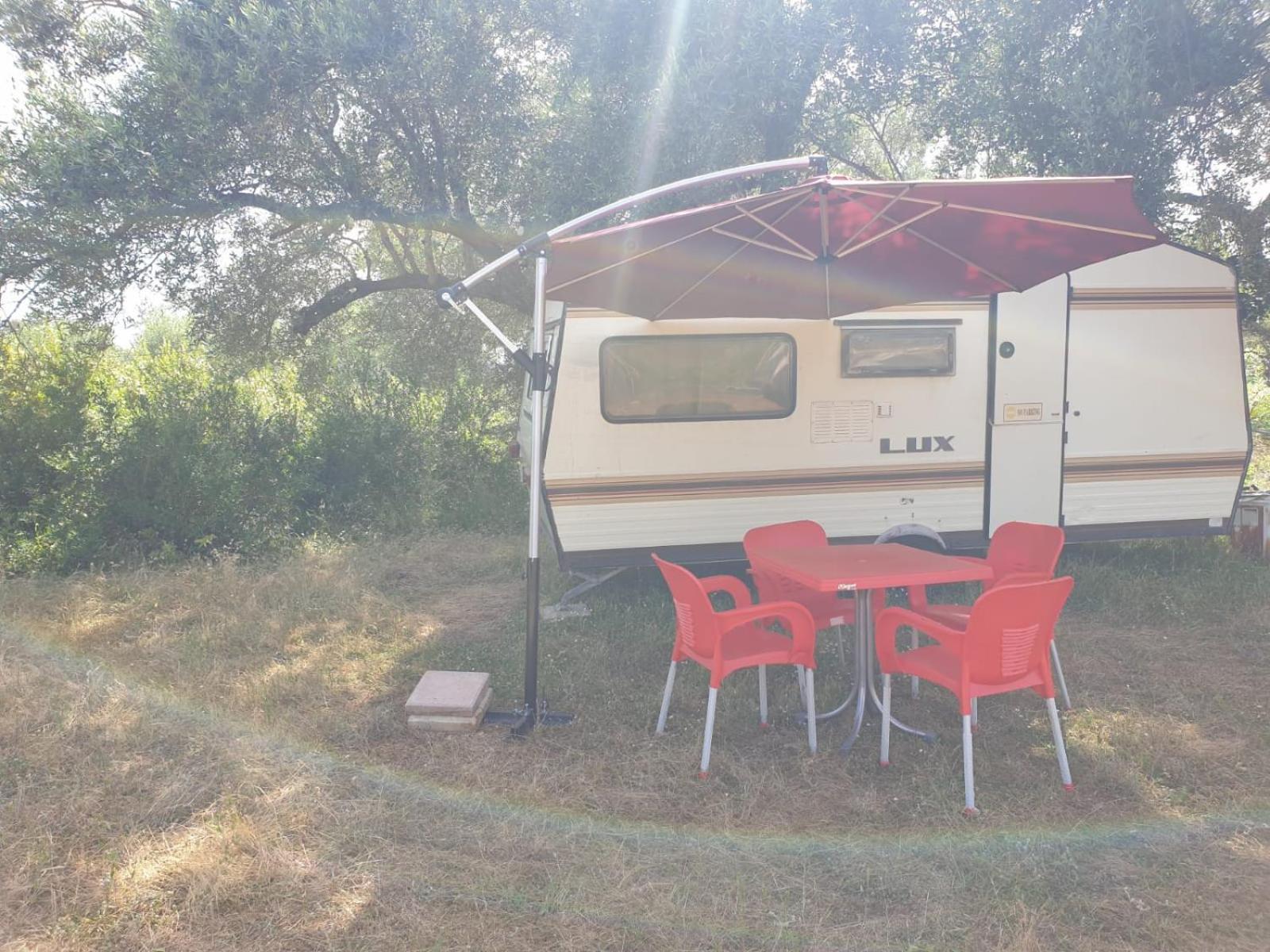 Aquariumi Jale Camping Ξενοδοχείο Εξωτερικό φωτογραφία